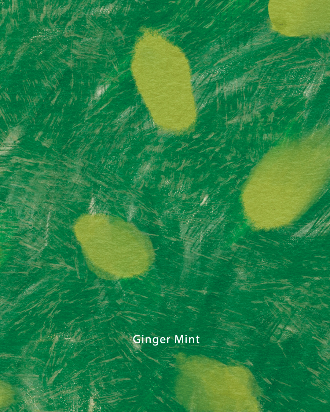 Apoteka Soul Ginger Mint - Tea Bag Box