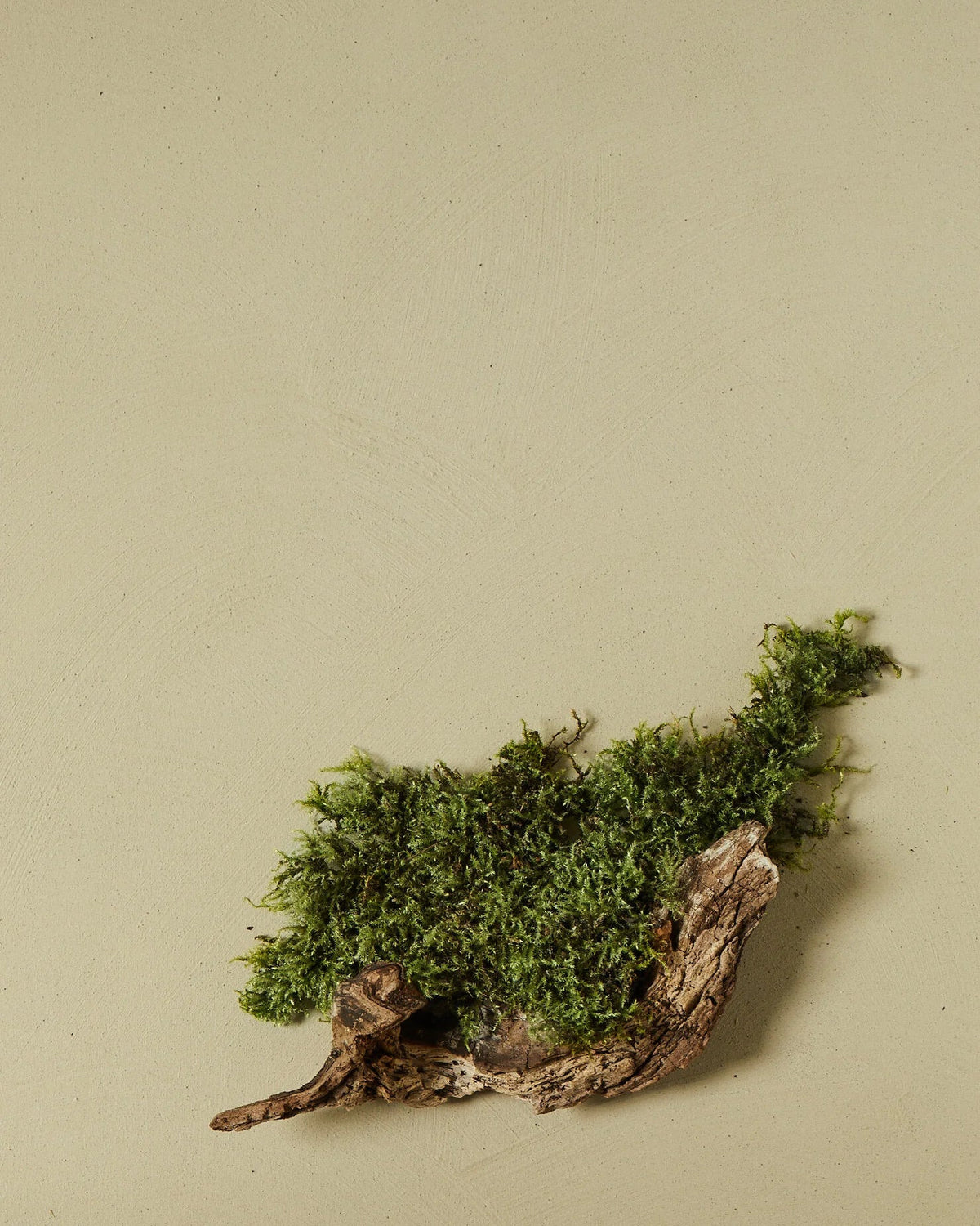 nen-do Clay Paint 1.5kg — Siberian Moss